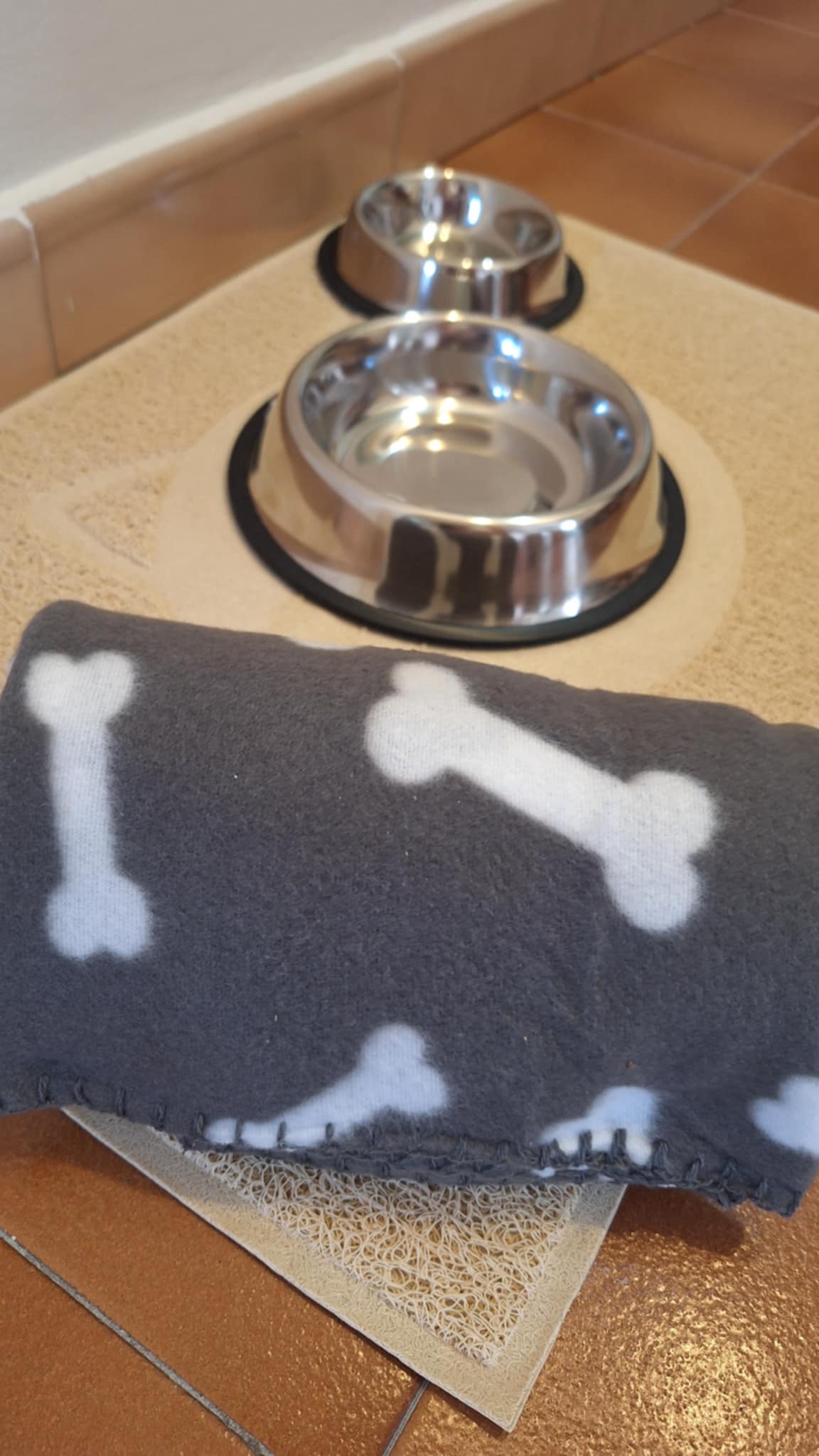 kiskutyás szállás