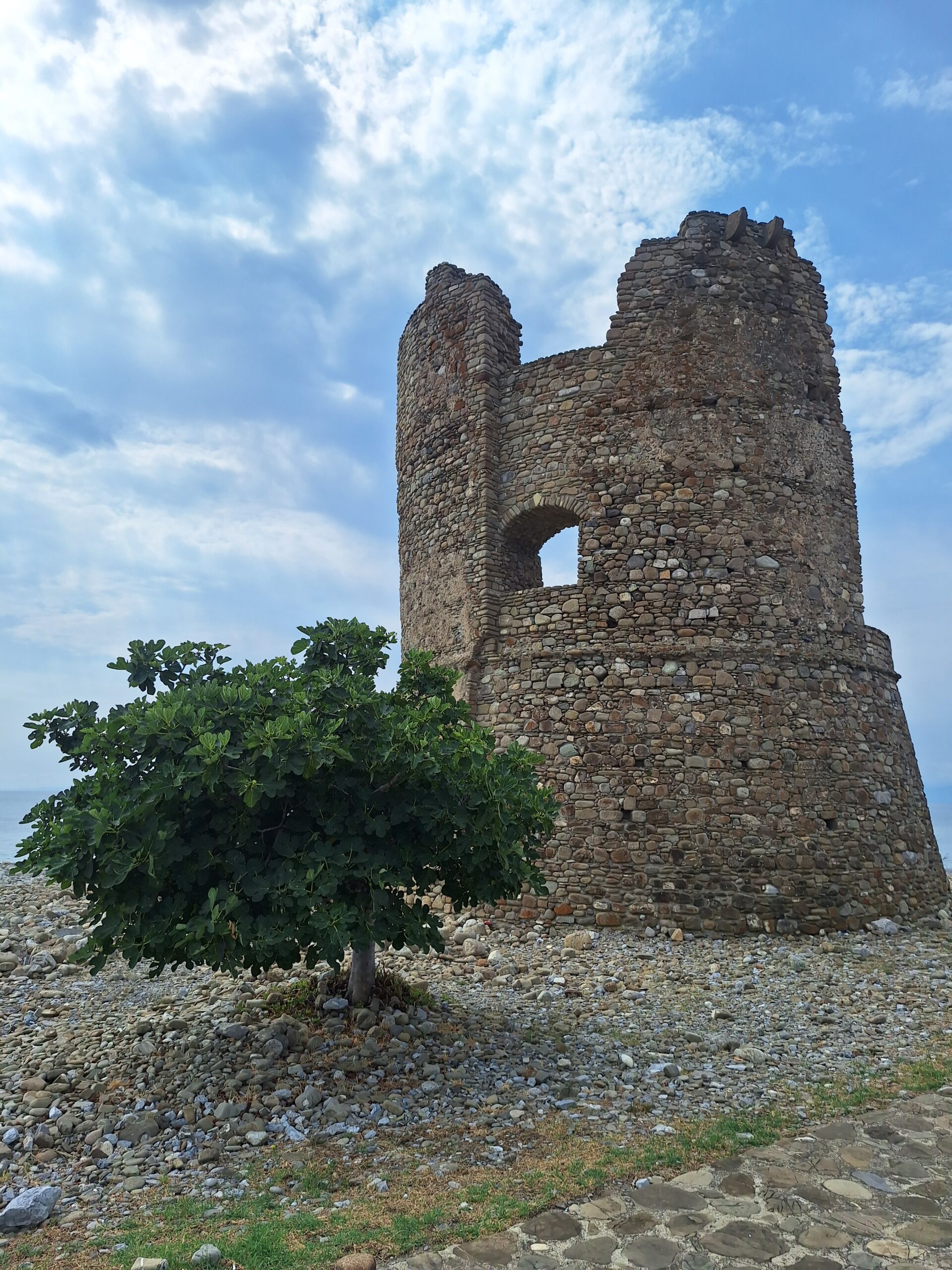 PROFIL-20250826_110434